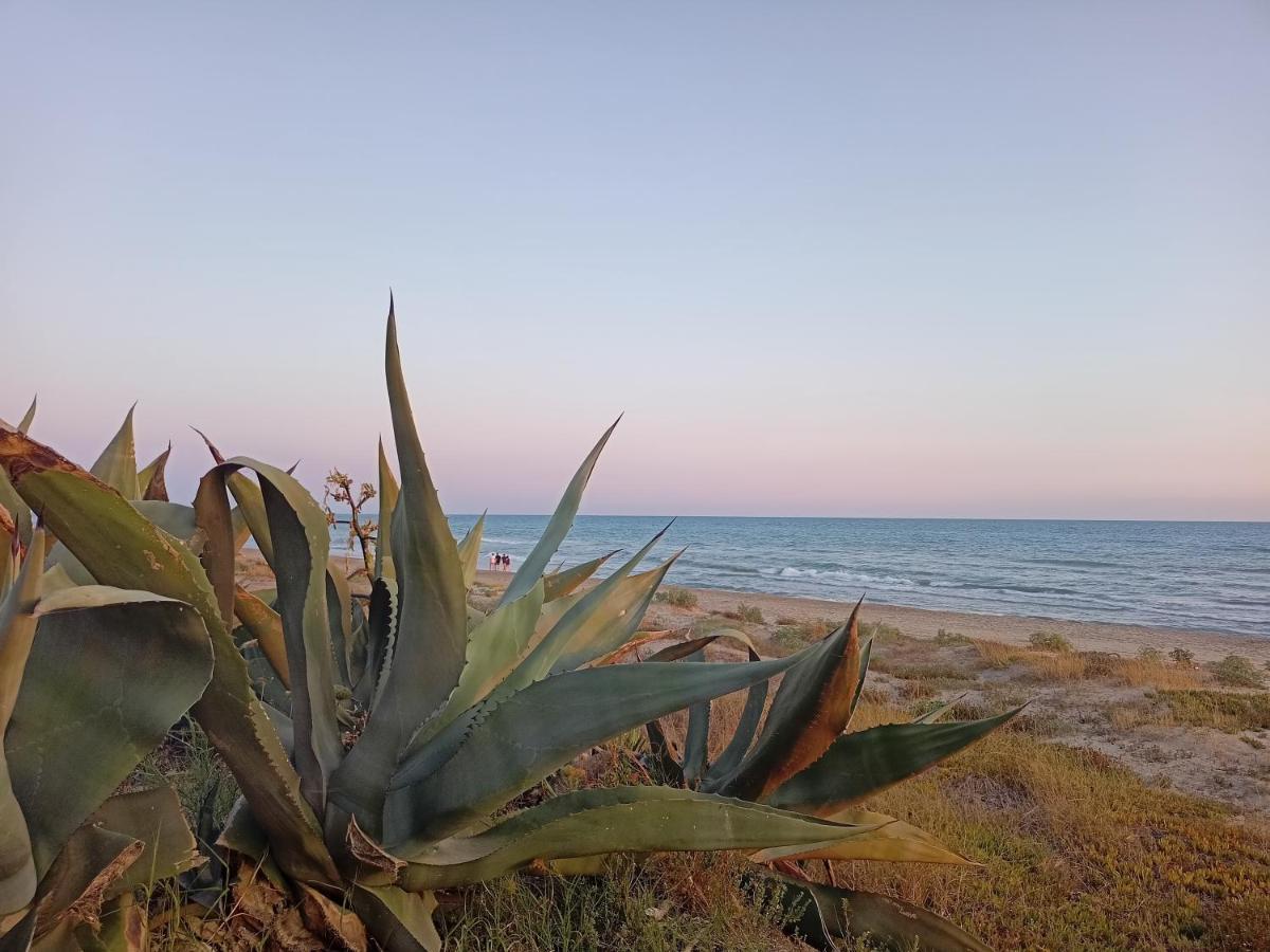 הוילה ארדאה La Torre Di Barbara מראה חיצוני תמונה